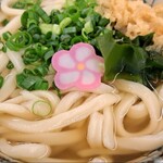 麺処 綿谷 - かけうどん(大)