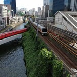EDOCCO CAFE MASU MASU - JR総武線、JR中央線、地下鉄丸の内線の3線が交差する風景。今日も見ることができてラッキーでした。