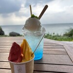 Ikemajima gelato cafe Ninufa - 