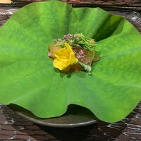 五本木 響 - 
