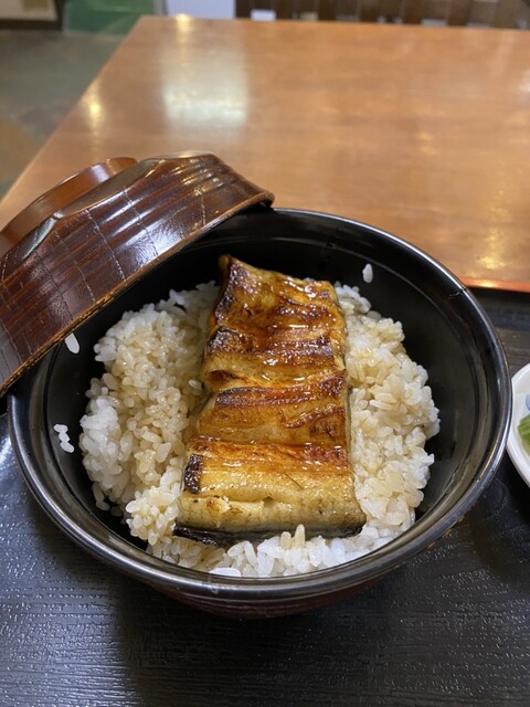 Unagi Midori photo 3