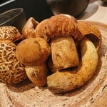 イル アオヤマ - 