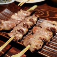 鳥ばか一代 - 