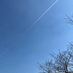 台湾料理 錦城 - 