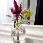 リストランテ ラ ソリア - （2023.9）