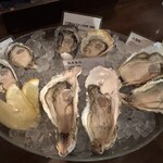 オストレア oysterbar&restaurant - 