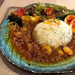 BOTANI：CURRY - 