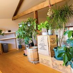 なかむら珈琲 - ジャングル