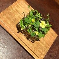 ラ カンロ - 