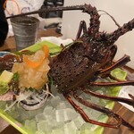 しまなみ直送 真鯛・海鮮料理専門店 鯛将 - 