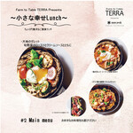 Farm to Table TERRA - 