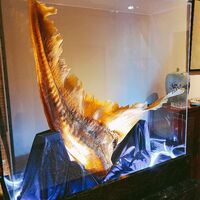 中国飯店 三田店 - 