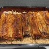 Unagi Fujita - 