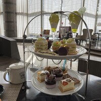 Lounge & Dining G - 