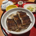 炭焼 うな富士 - 