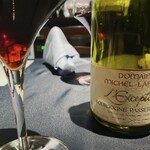 セルサルサーレ - 