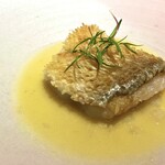 セルサルサーレ - 