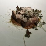 セルサルサーレ - 