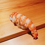 鮨 さかい - 天草の車海老