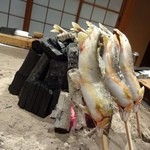 柳家 - 大きな子持ち鮎！焼き始めました・・・