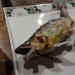 柳家 - 驚くほどの大きさ！ころんと寝てしまいました。