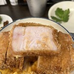 厚切りとじないカツ丼 六かつ - 