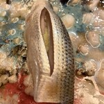 鮨 一新 - コハダ