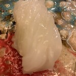 鮨 一新 - アオリイカ