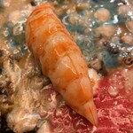 鮨 一新 - 車海老