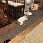 太陽園 - 看板ネコ