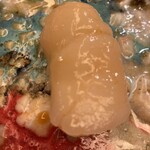 鮨 一新 - ホタテ