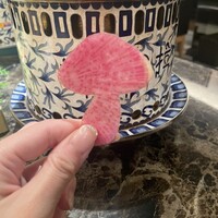 Shangri-La's secret ROPPONGI - 