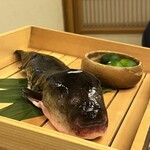 Torafugu Semmon Fugu Nakamata - 