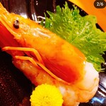 季節料理のお店 さくら - 