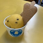 DOUBLE UP Ice Cream - 季節限定　マンゴー味
