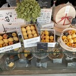 Raison d’etre 苦楽園 - 