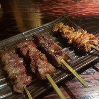鳥ばか一代 - 