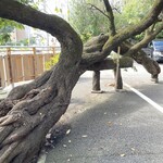 手打ちうどん 平作 - 