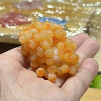 鮓 有無 - 