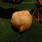 柊家旅館 - 栗きんとん