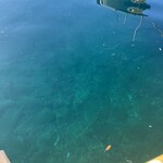 お食事処 かにや - 