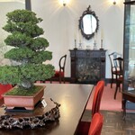 喫茶館 Bleu Montagne - 盆栽の緑に癒される