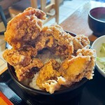 Karaage Hitosuji - 