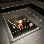 カンテサンス - 