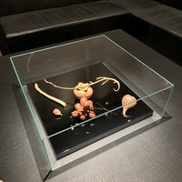 カンテサンス - 