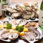 Raw oysters/steamed oysters (1 each)