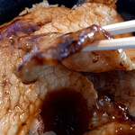 太陽の恵み - 十勝の豚丼