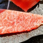 光る海 - マグロのカマトロ