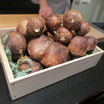 日本料理 晴山 - 今回の主役。岩手の松茸です。