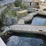 Kinosaki Marin Warudo Ajiba - アジ釣り池